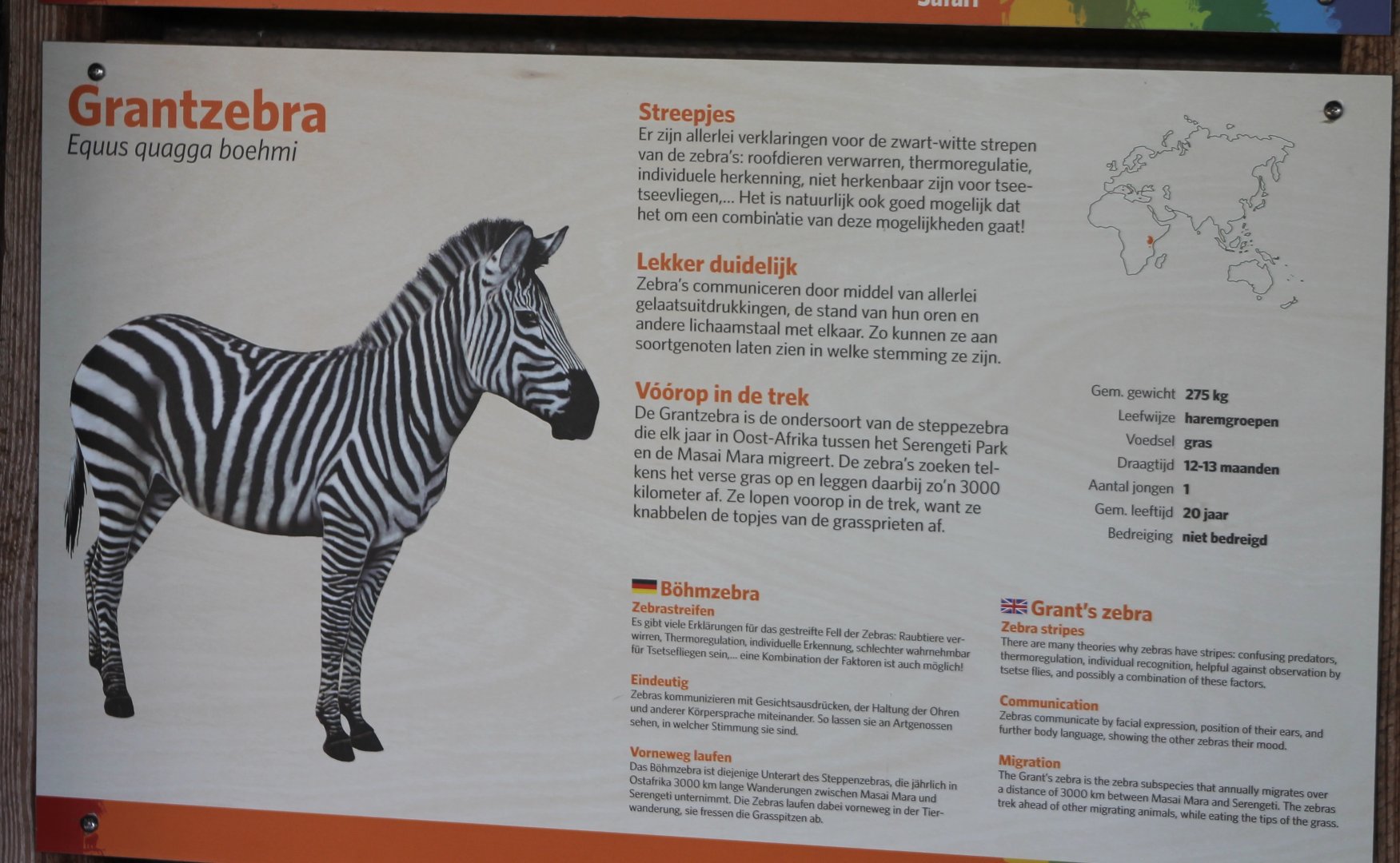 Sign Grant zebra