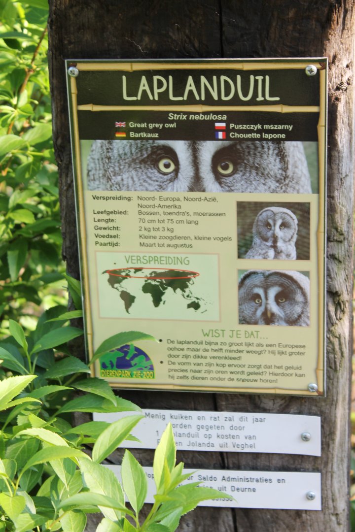 Sign Great grey owl