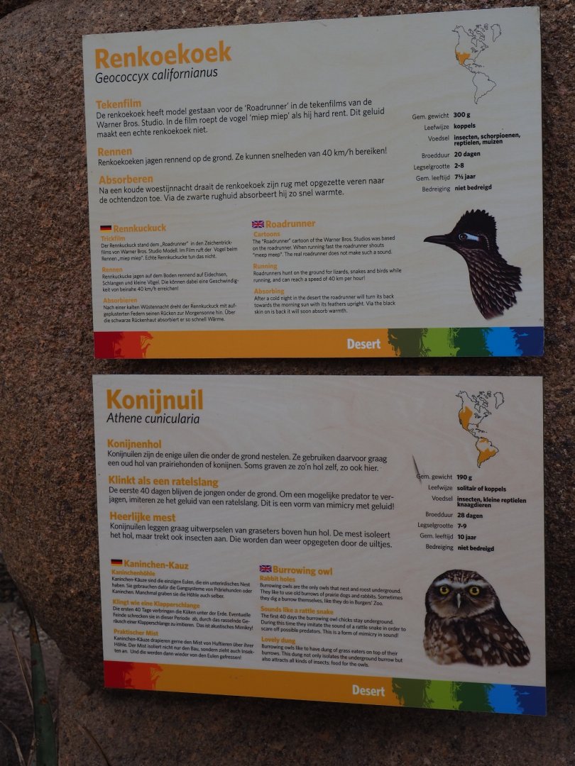 Sign greater roadrunner and burrowing owl (Sep 16th, 2018)