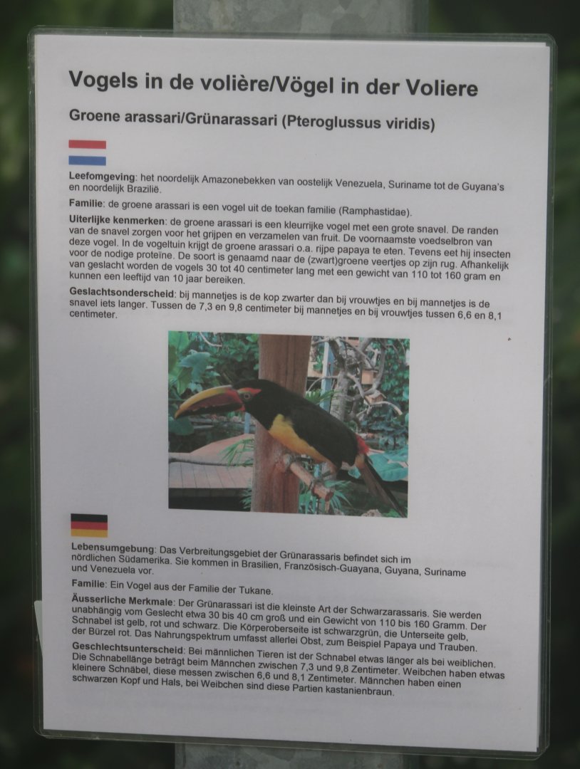 Sign Green aracari