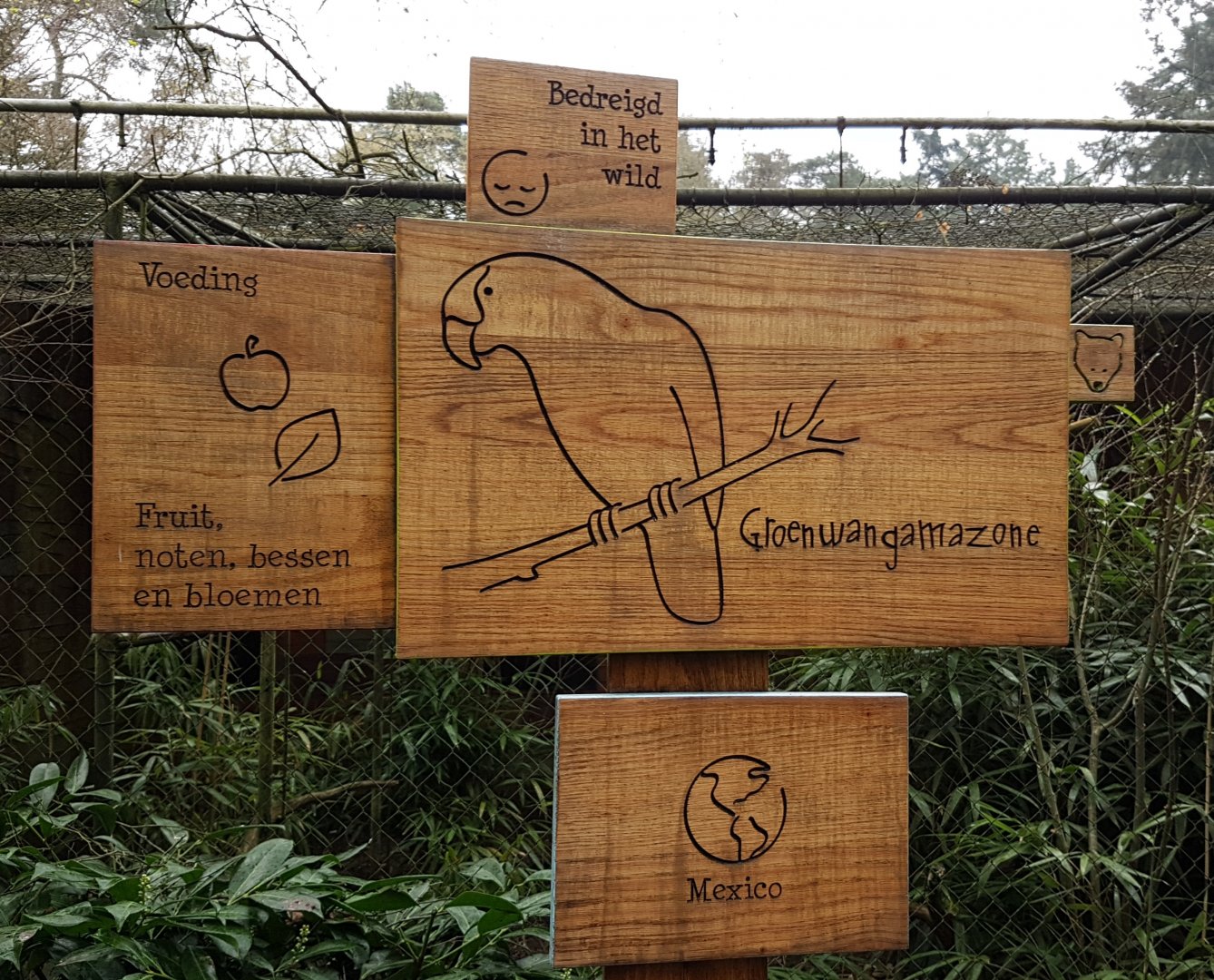 Sign Green-cheeked amazon