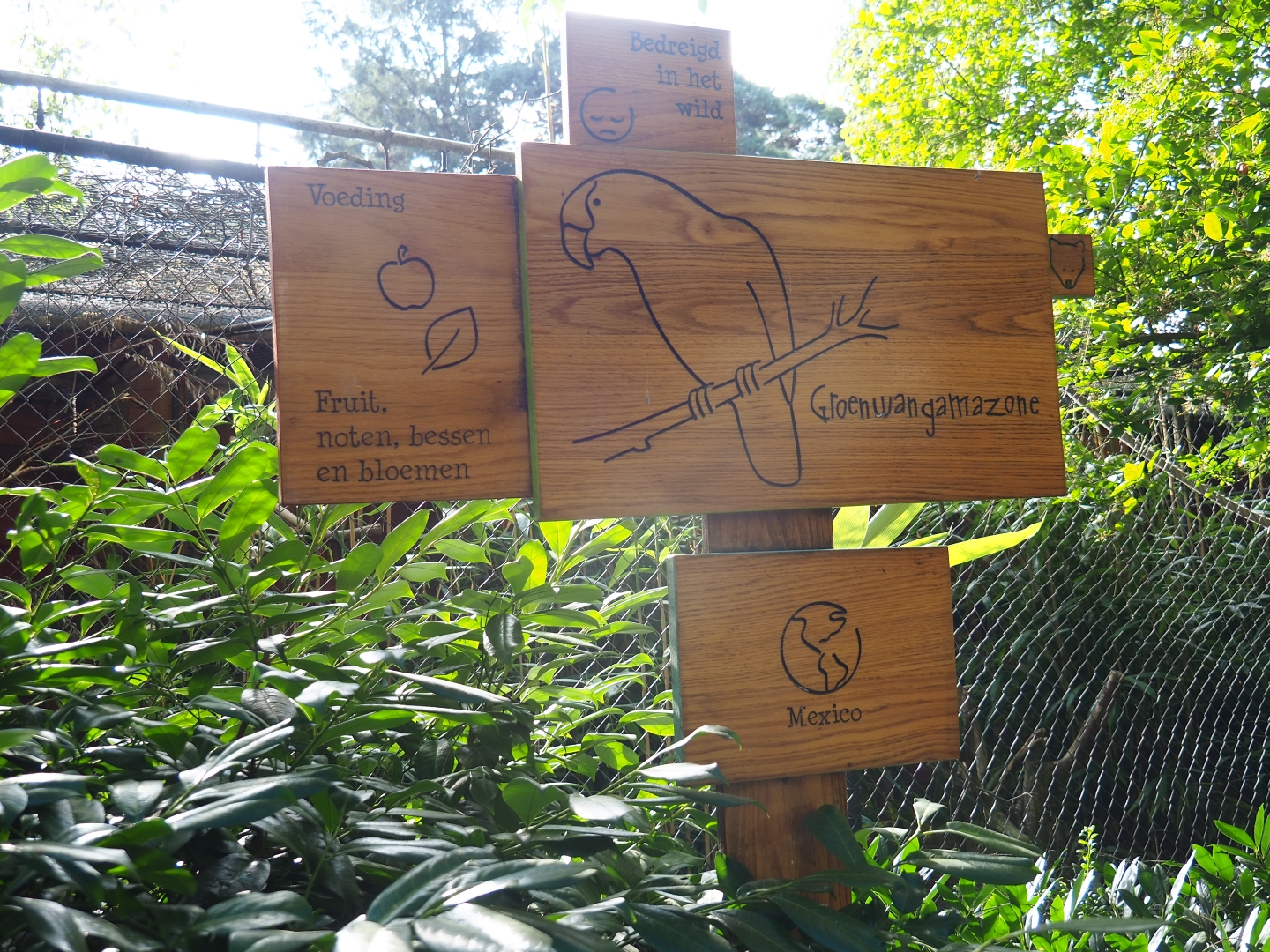 Sign green-cheeked amazon