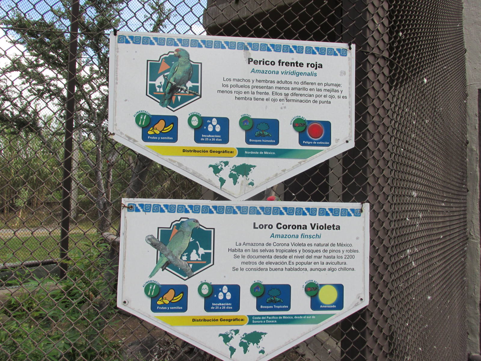 sign guadalajara zoo