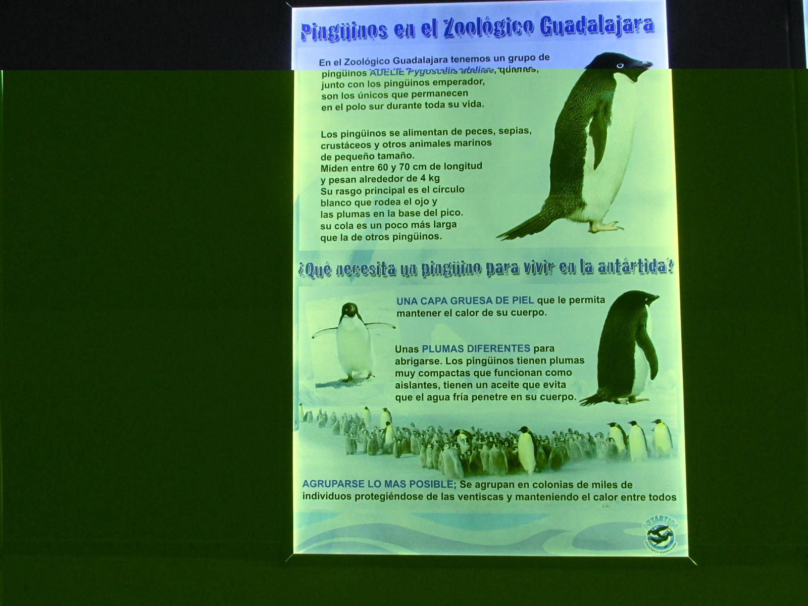 sign guadalajara zoo