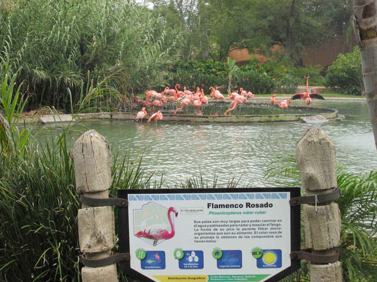 sign guadalajara zoo