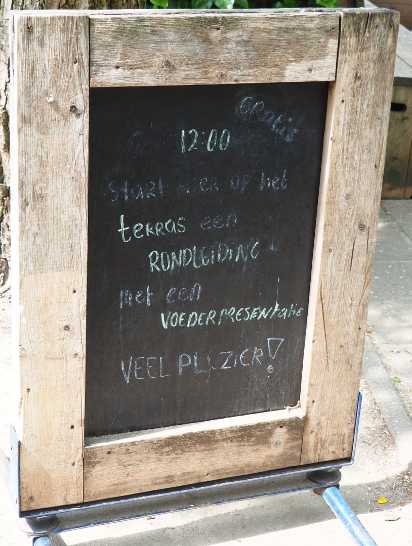 Sign guided feeding tour, 2019-05-25