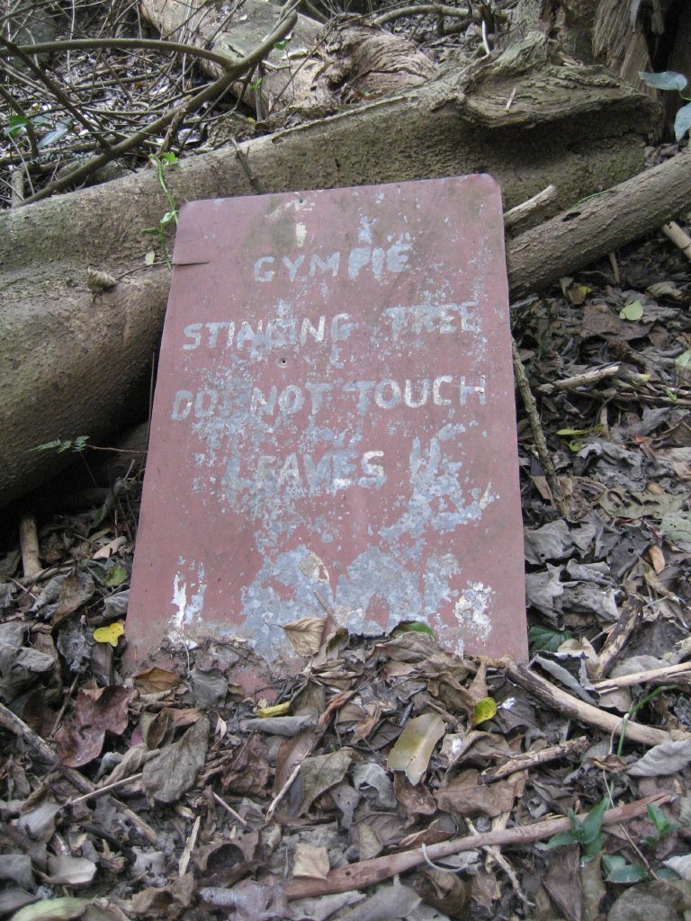 Sign - Gympie Stinging Tree