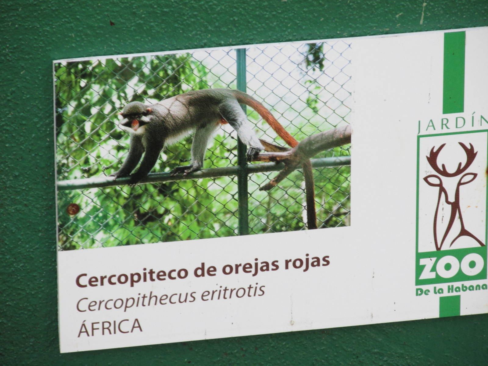 sign havanna zoo