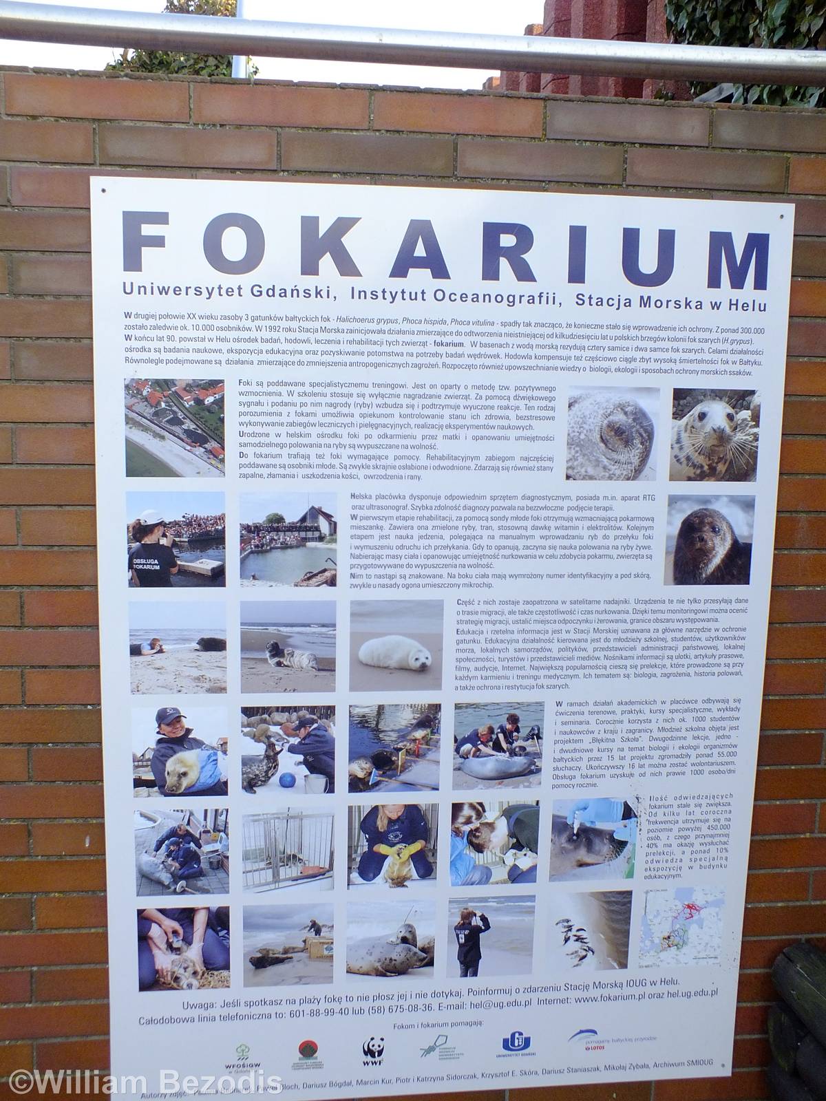 Sign - Hel Fokarium