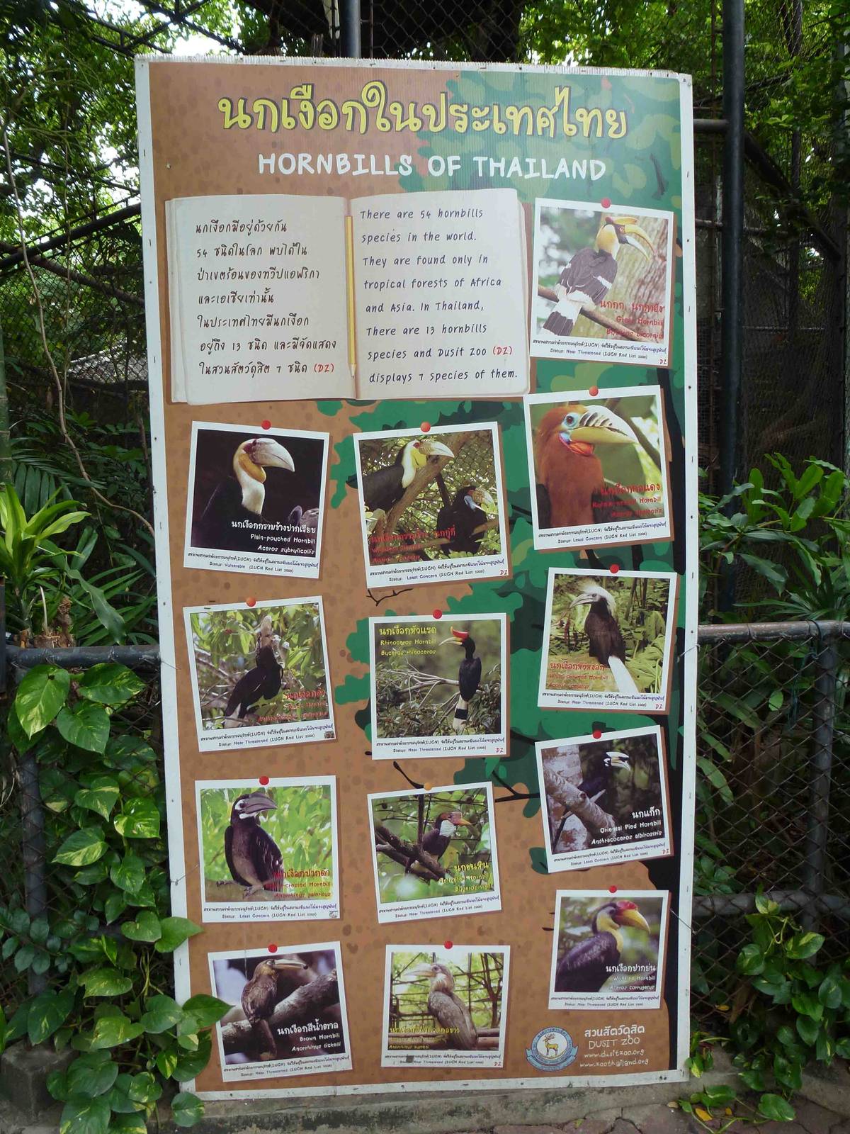 Sign - hornbills of Thailand, July 2013.