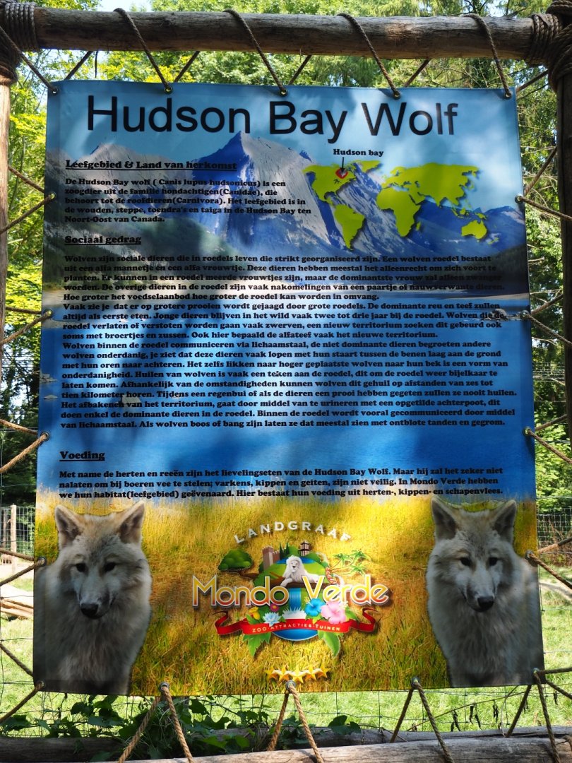 Sign Hudson Bay wolf (Aug 28th, 2018)