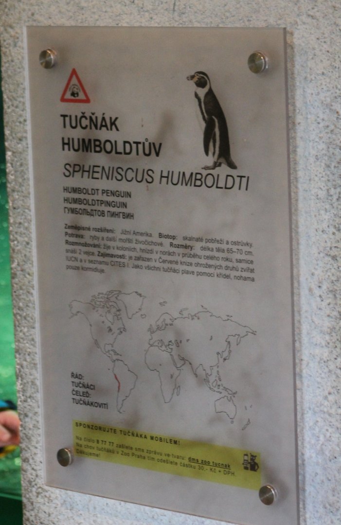 Sign Humboldt penguin