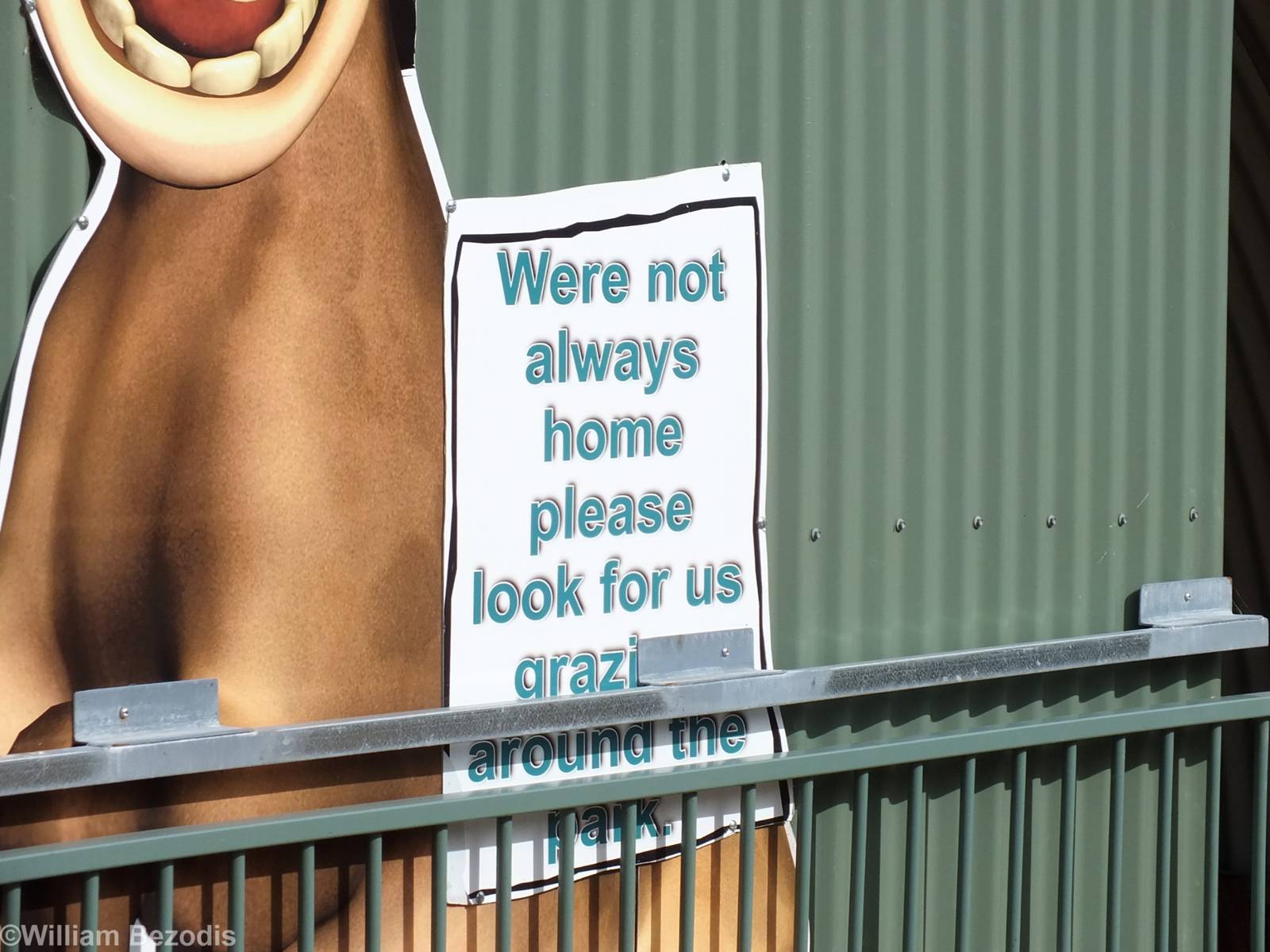 Sign in Domestic Hoofstock Enclosure (which just had the gate left open) -