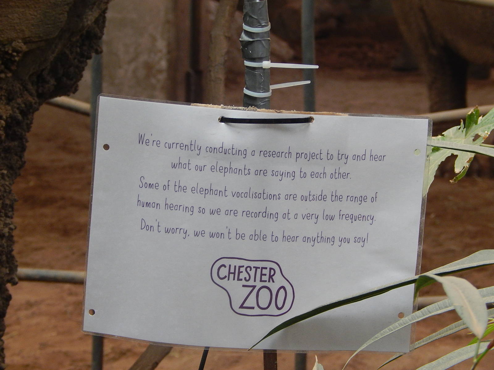 Sign in Elephant House