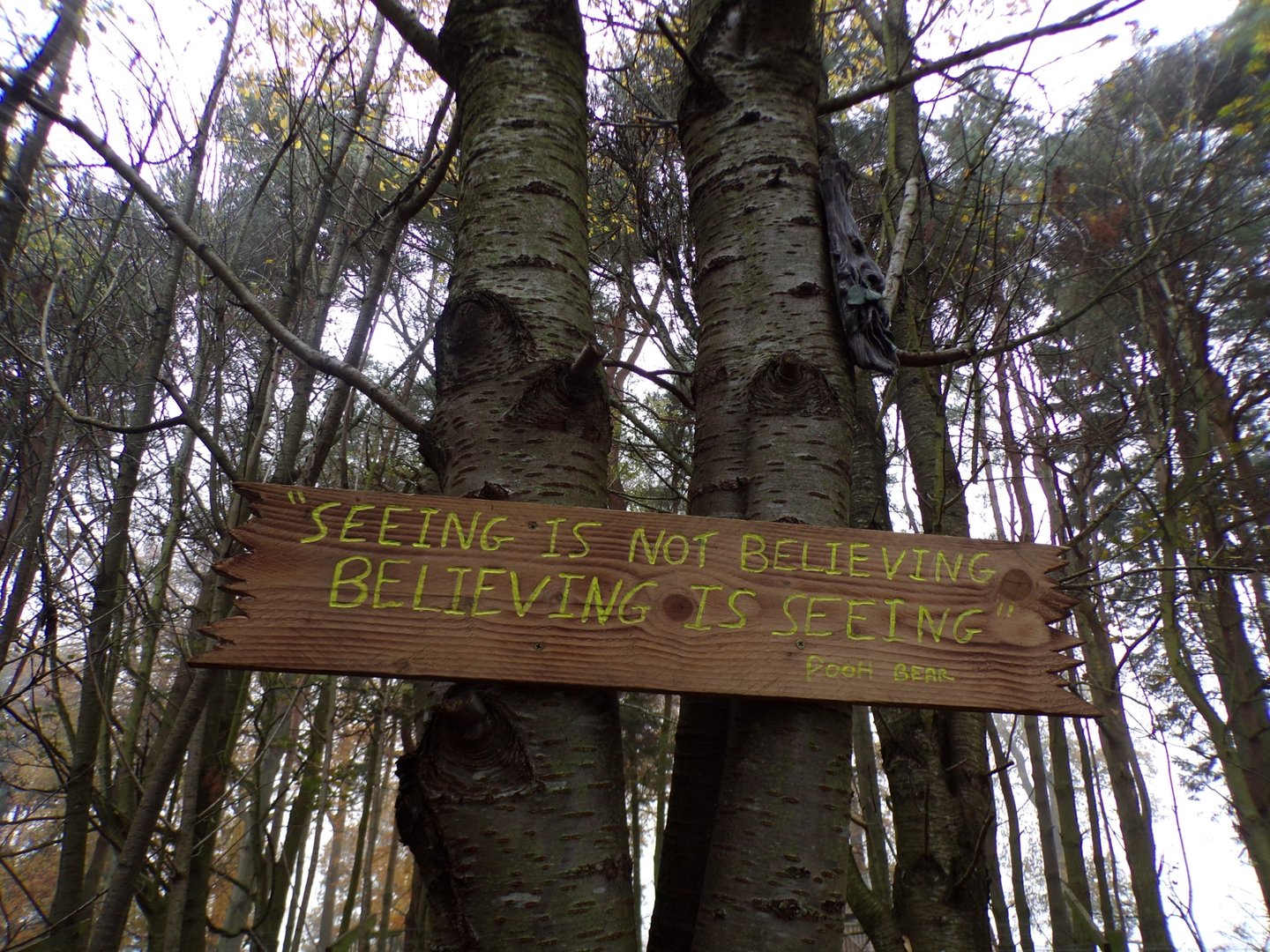 Sign in fairy garden