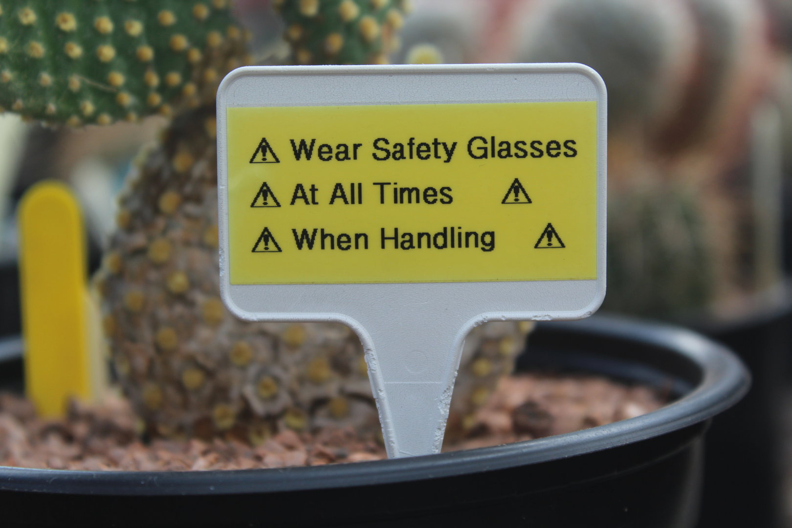 sign in Grow Zone 27 Feb 2023