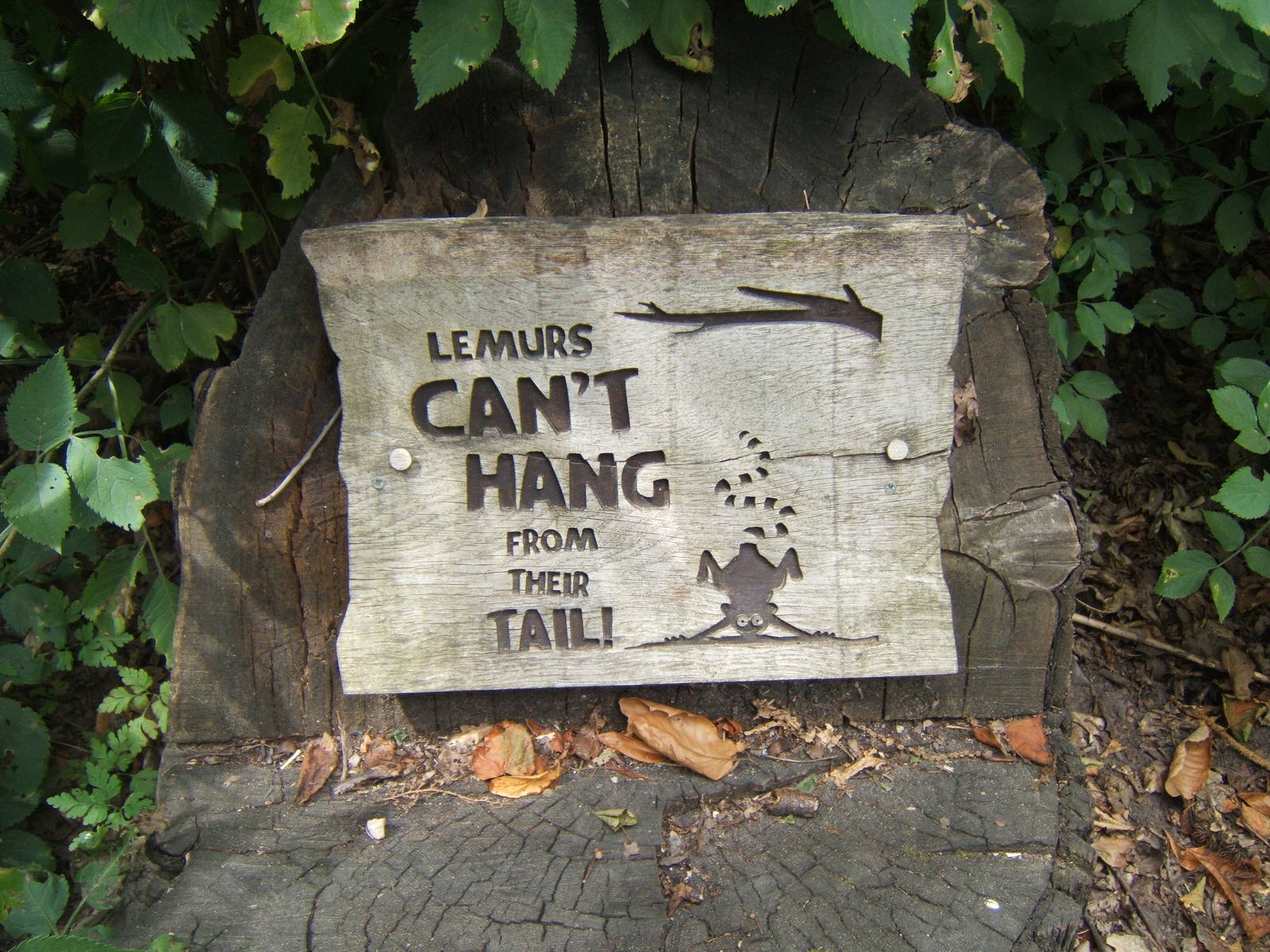 Sign in Lemur walk-trough
