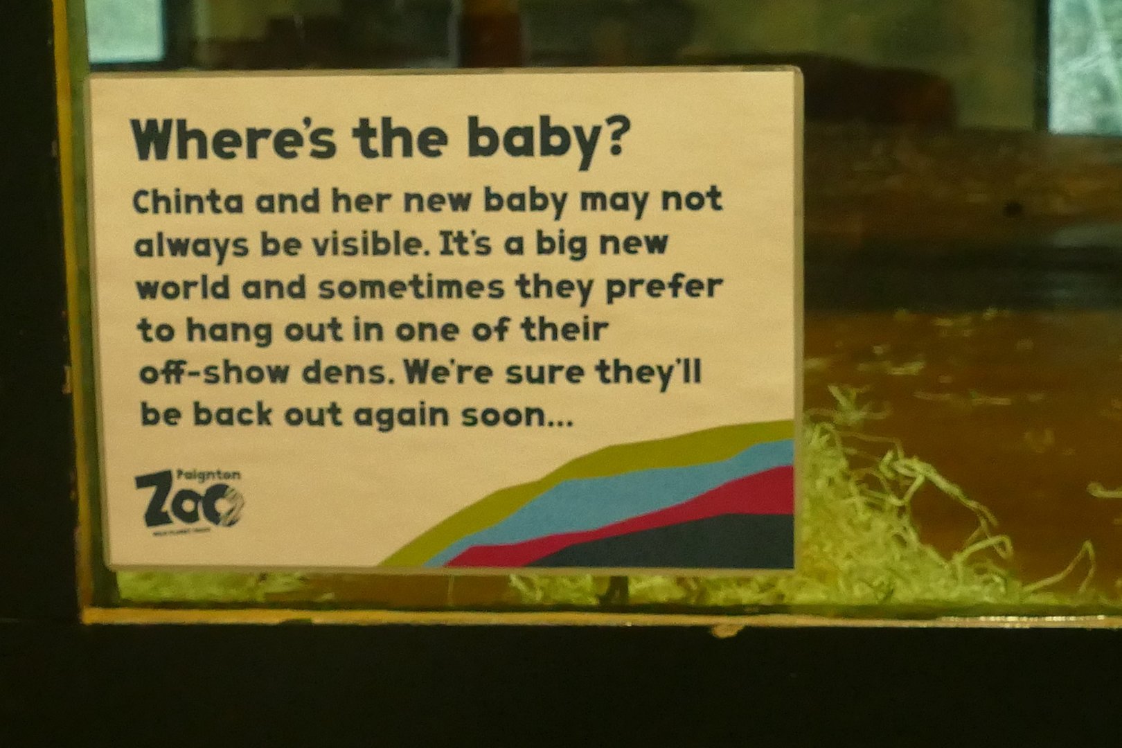 Sign in the Ape House, 12 December 2022