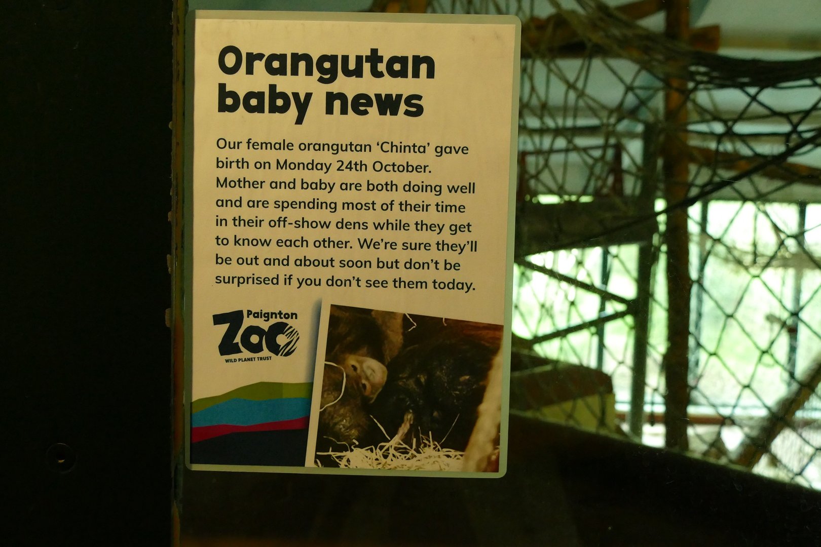 Sign in the ape house, October 2022