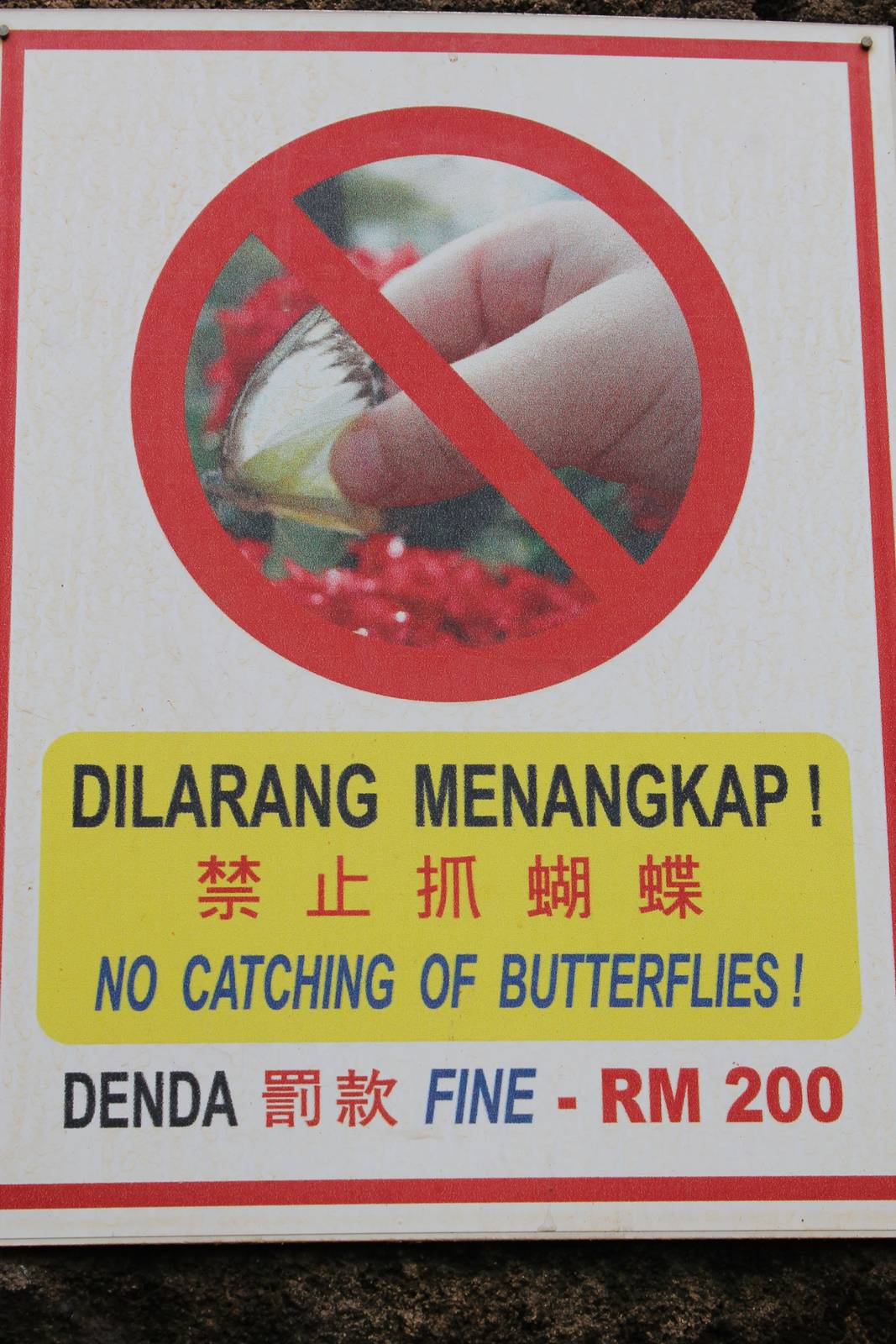 sign in the butterfly enclosure