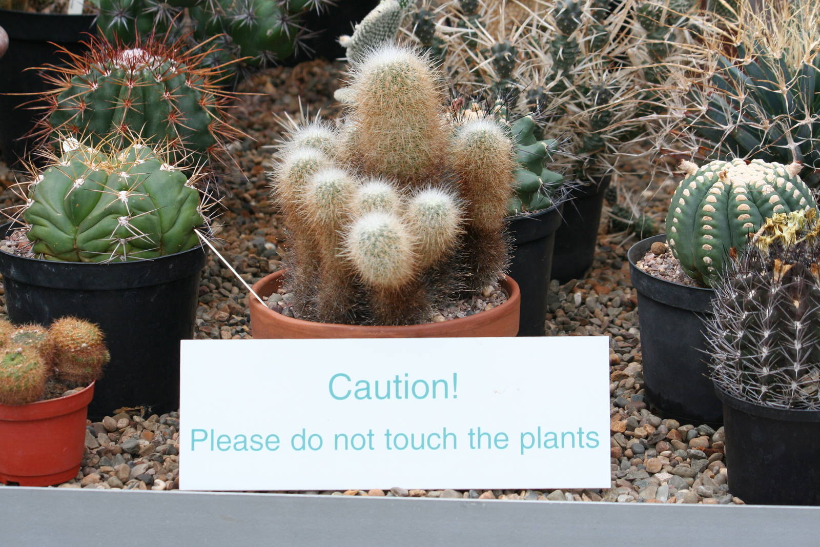 Sign in the cactus grow zone