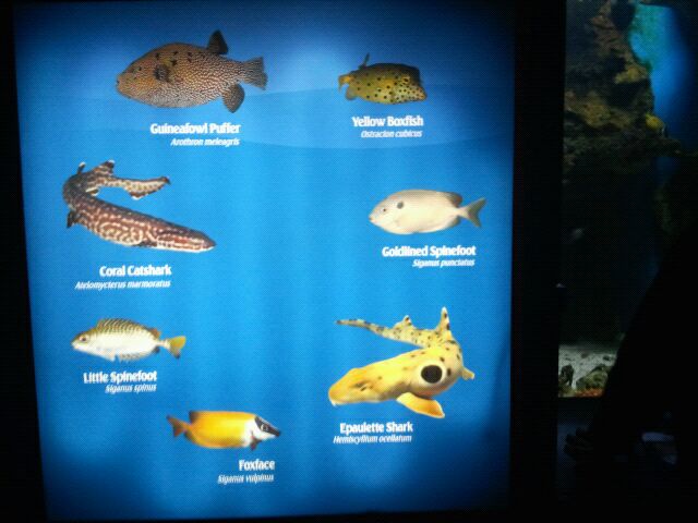 Sign in the Dangerous and Deadly display