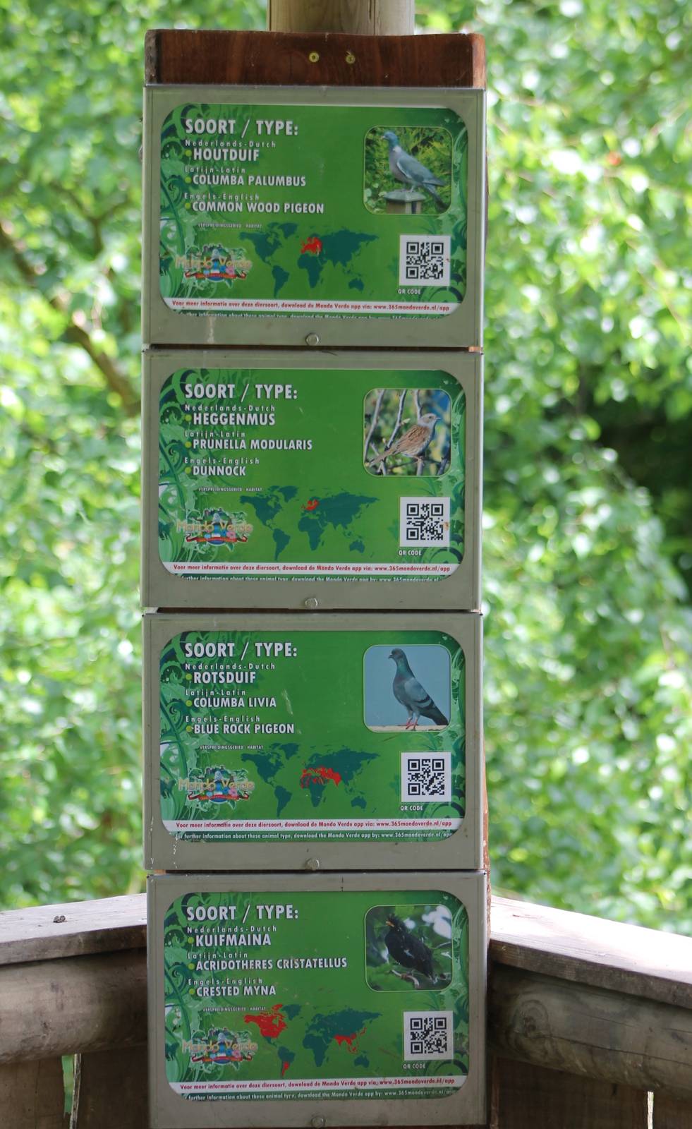 Sign in the European free-flight aviary