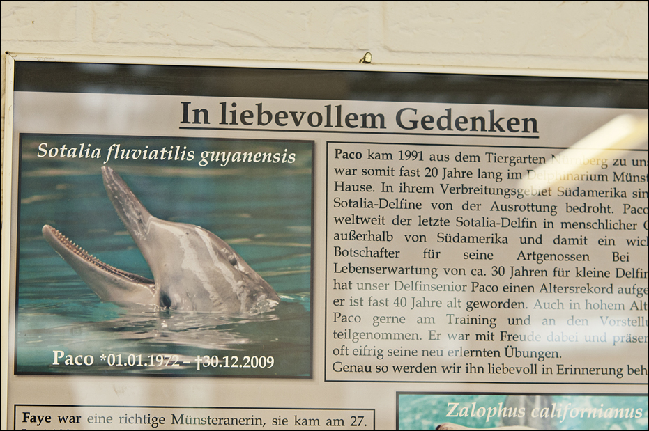 Sign in the former dolphinarium at Münster