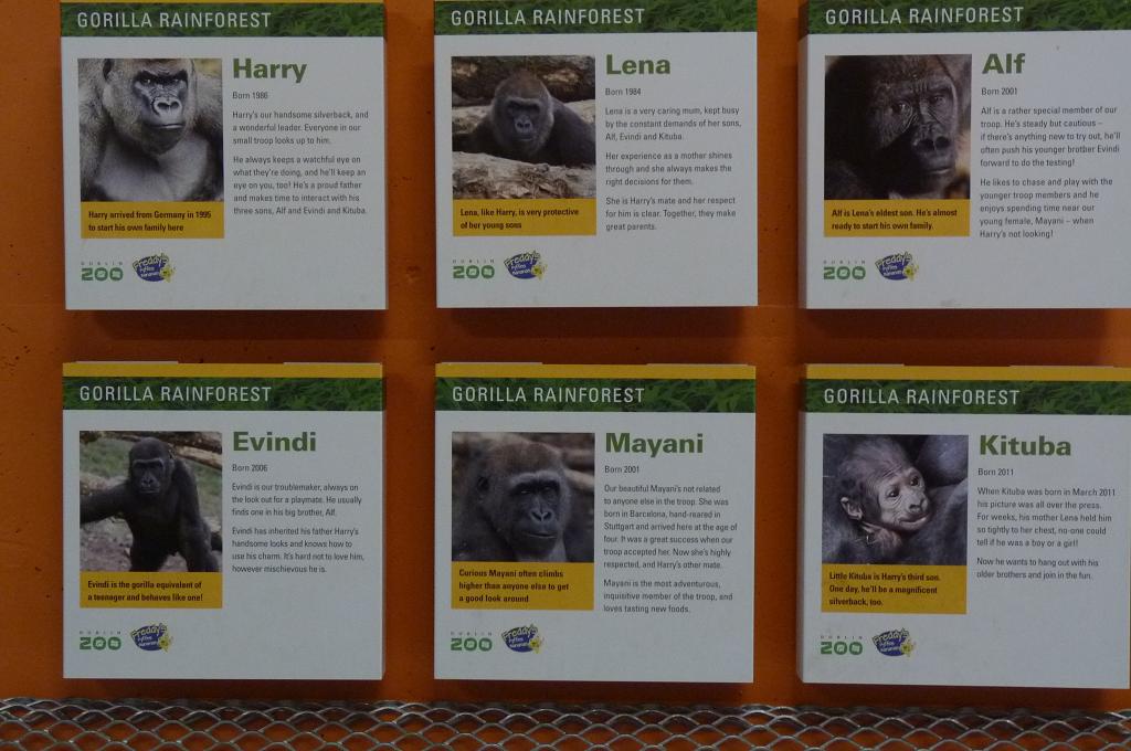 Sign in the Gorilla House