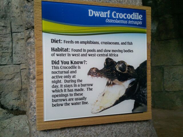 Sign in the Hidden Treasures of the Rainforest Islands