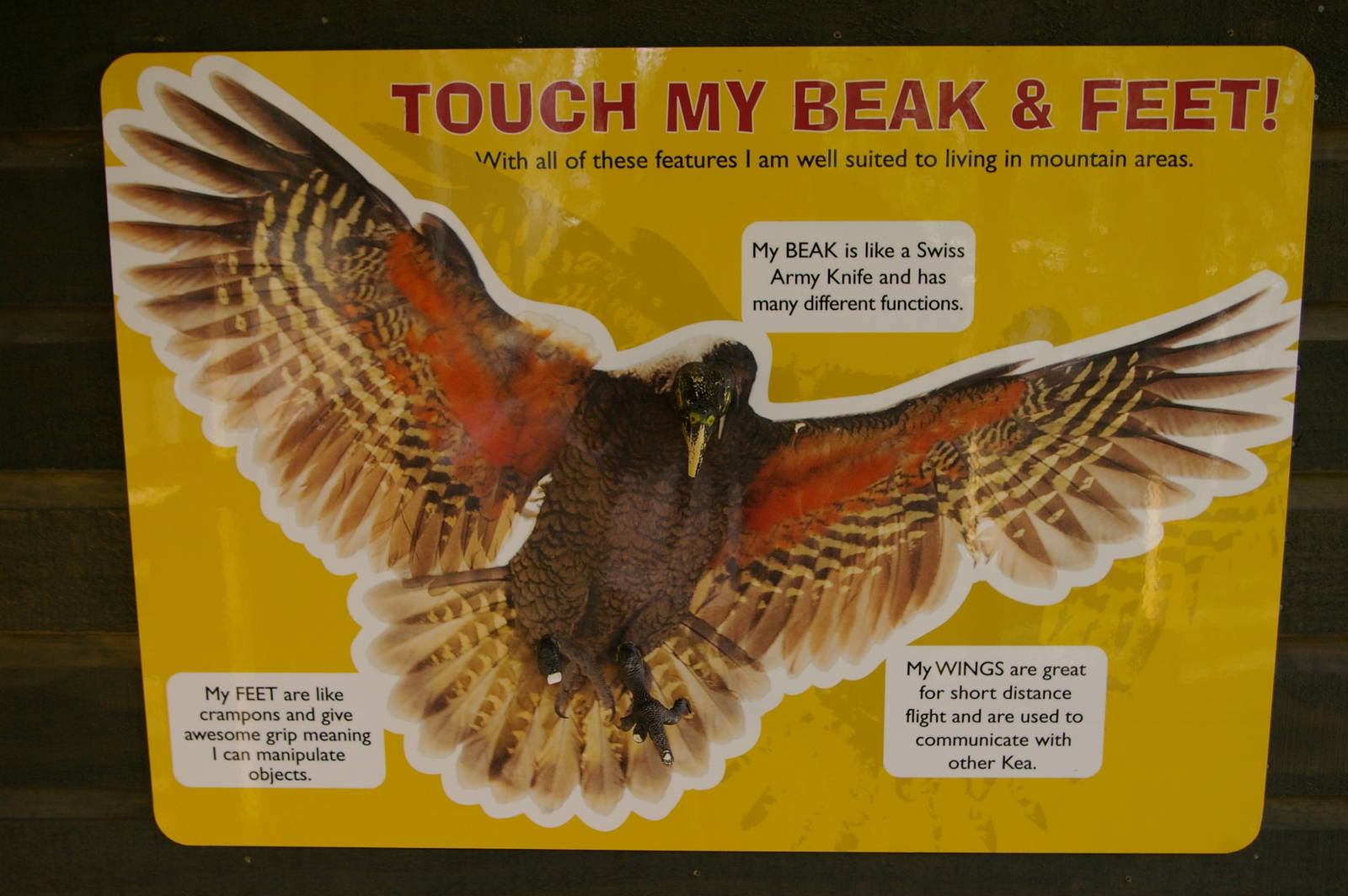 sign in the kea aviary