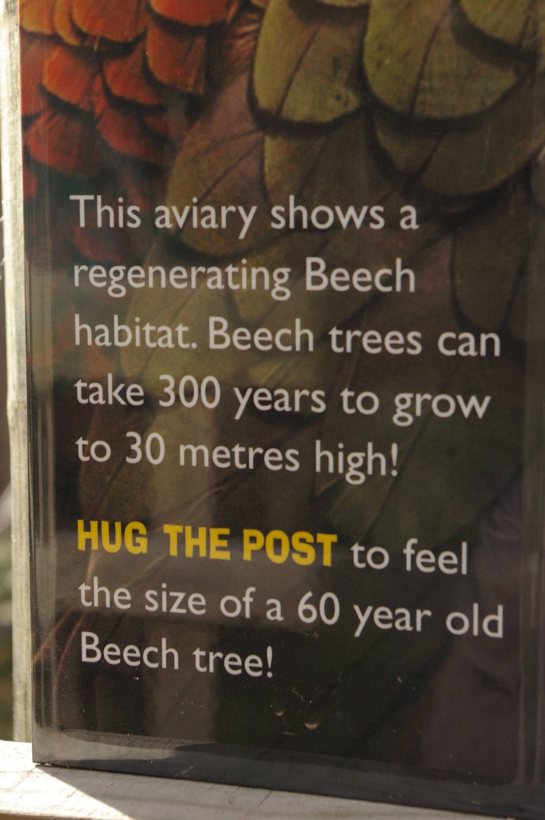 sign in the walk-through kea aviary