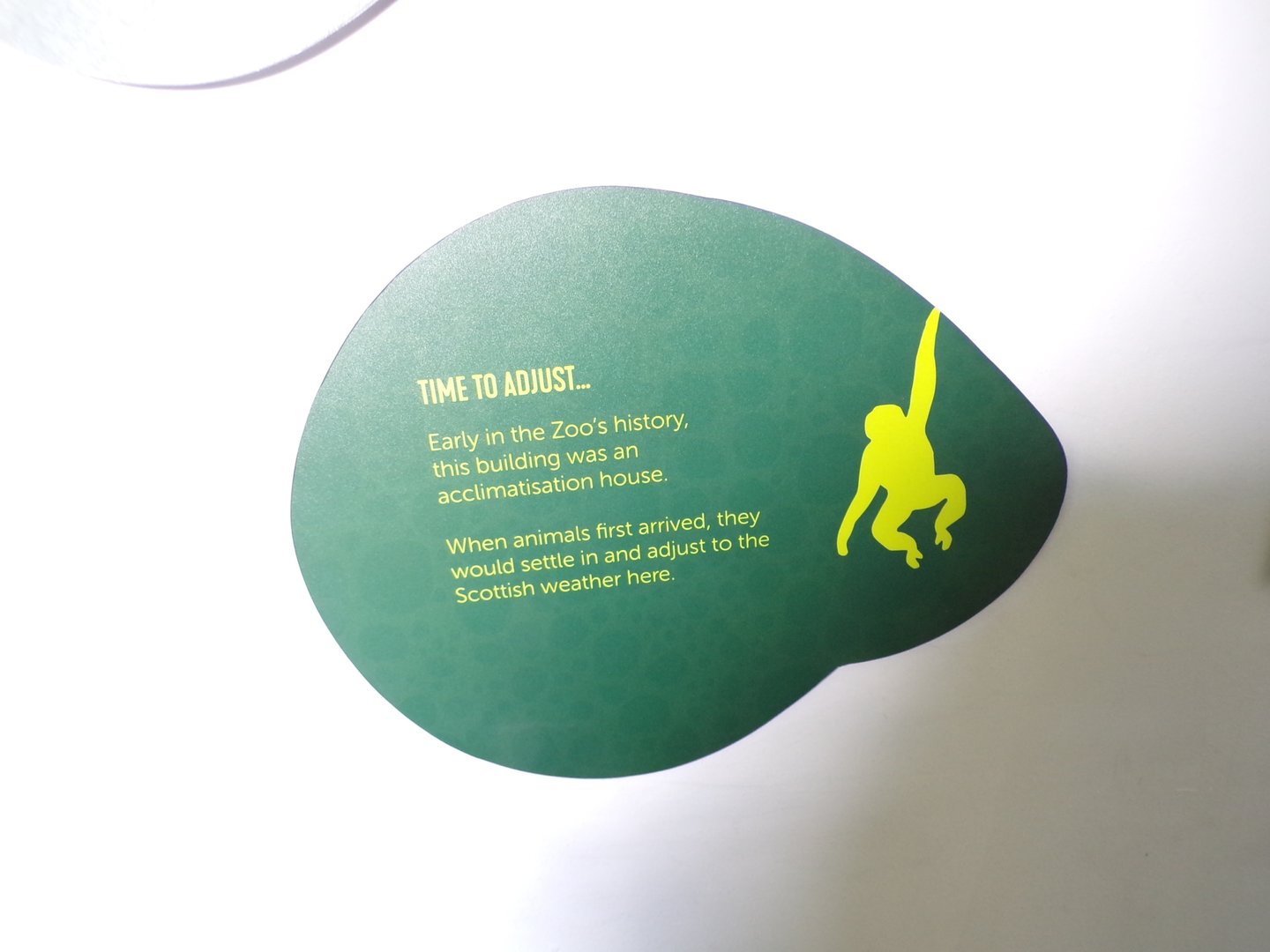 Sign in wee beesties  11.3.23