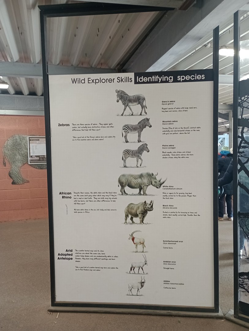 Sign in Wild Explorers