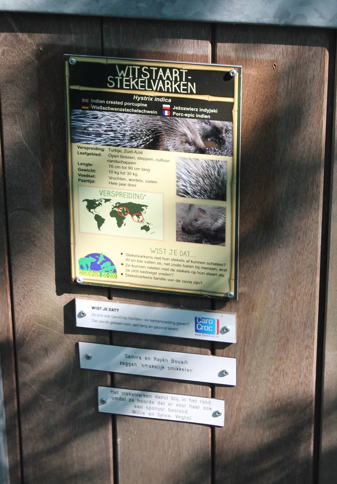 Sign Indian crested porcupine