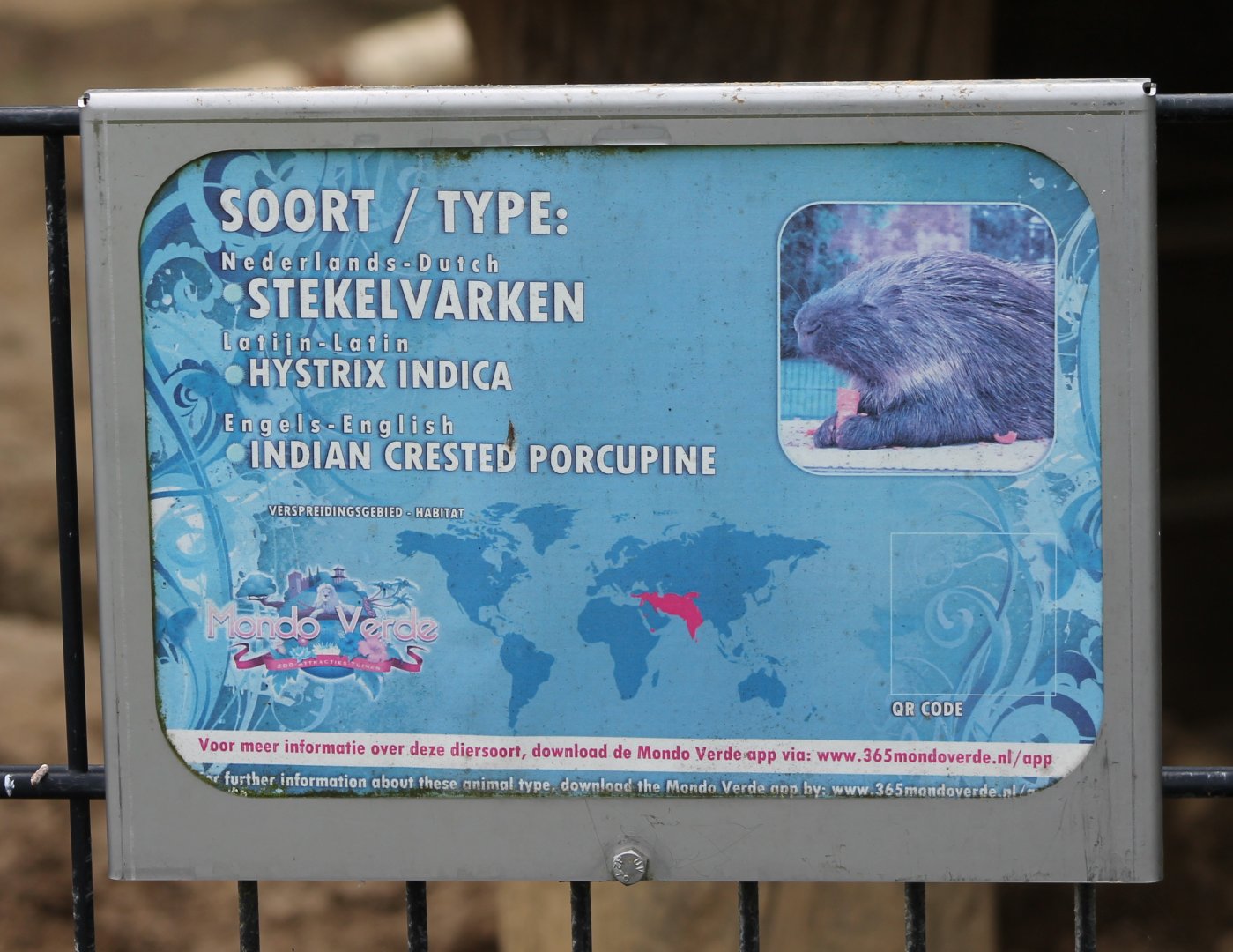 Sign Indian crested porcupine