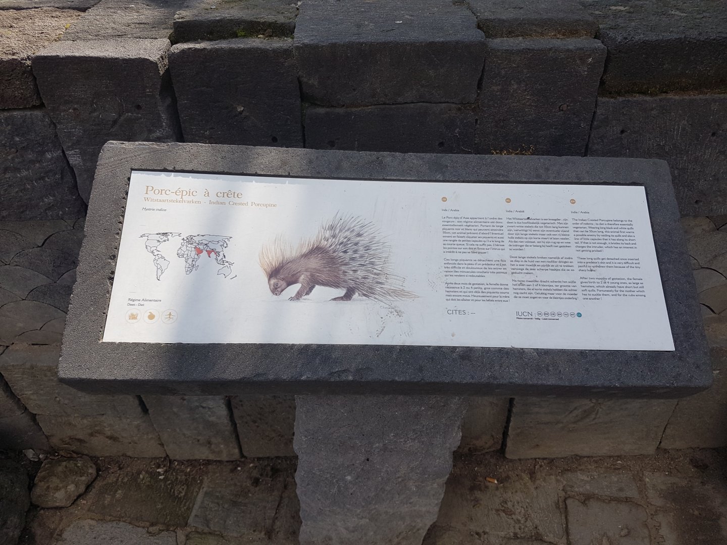 Sign Indian crested porcupine