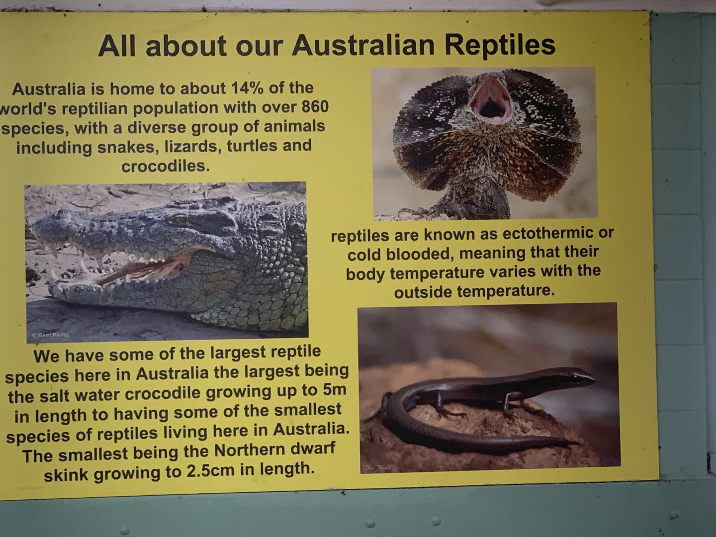 Sign inside 'Dragon House'