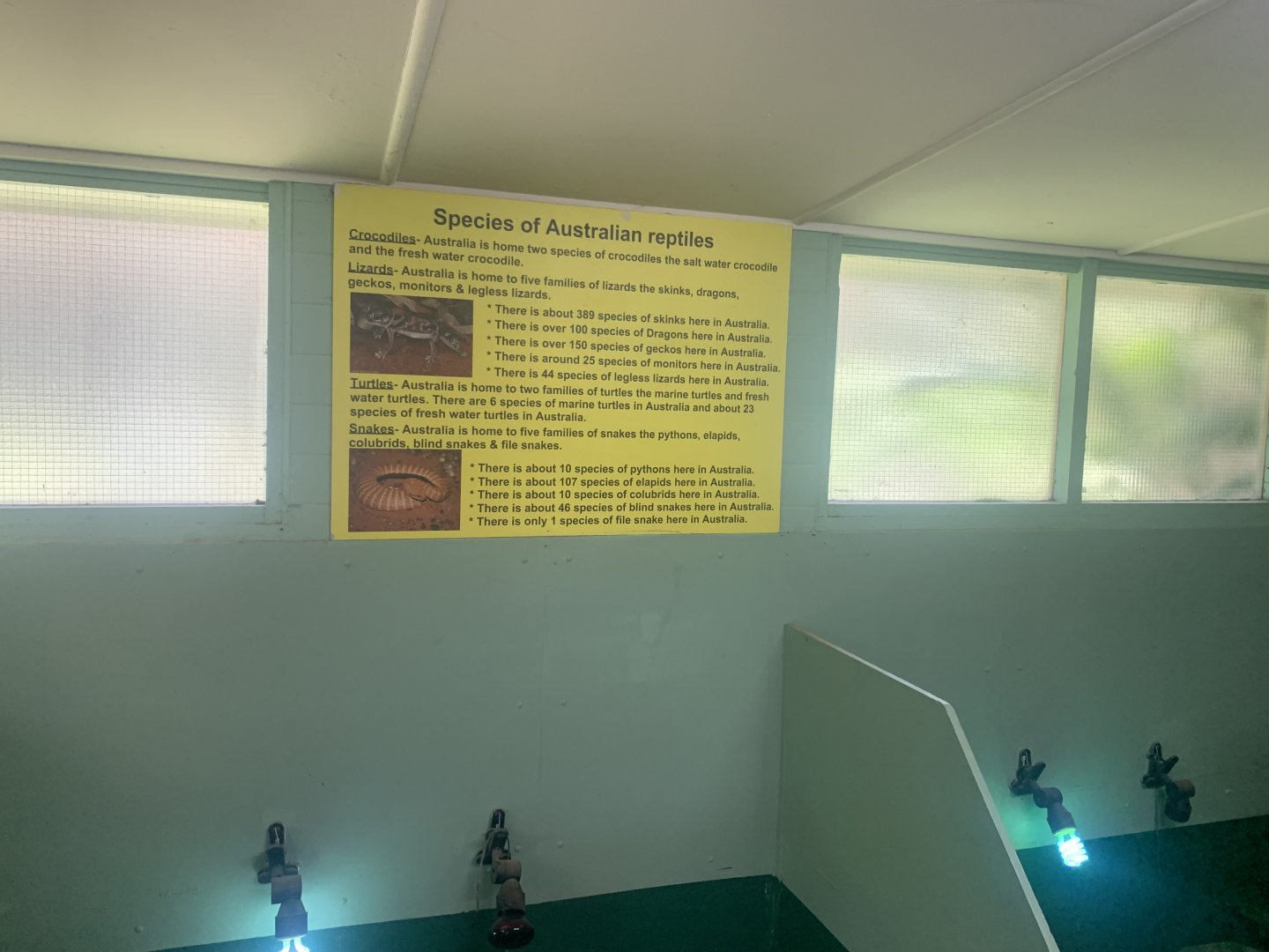 Sign inside 'Dragon House'