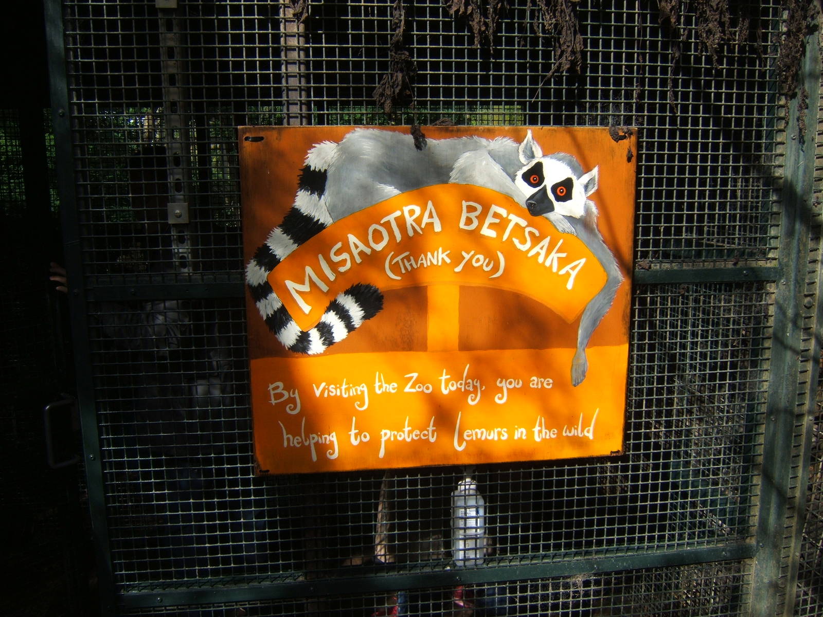 Sign just as you leave the Lemur Walk through exhibit