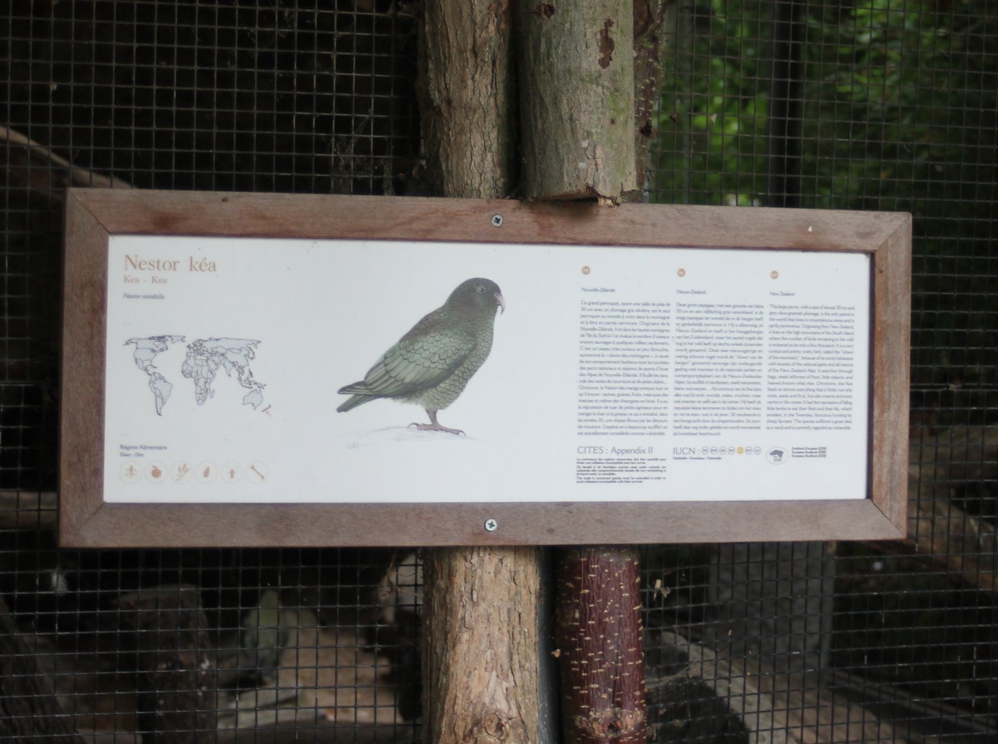 Sign Kea