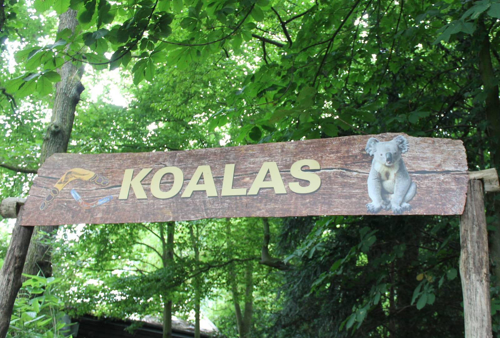Sign Koala