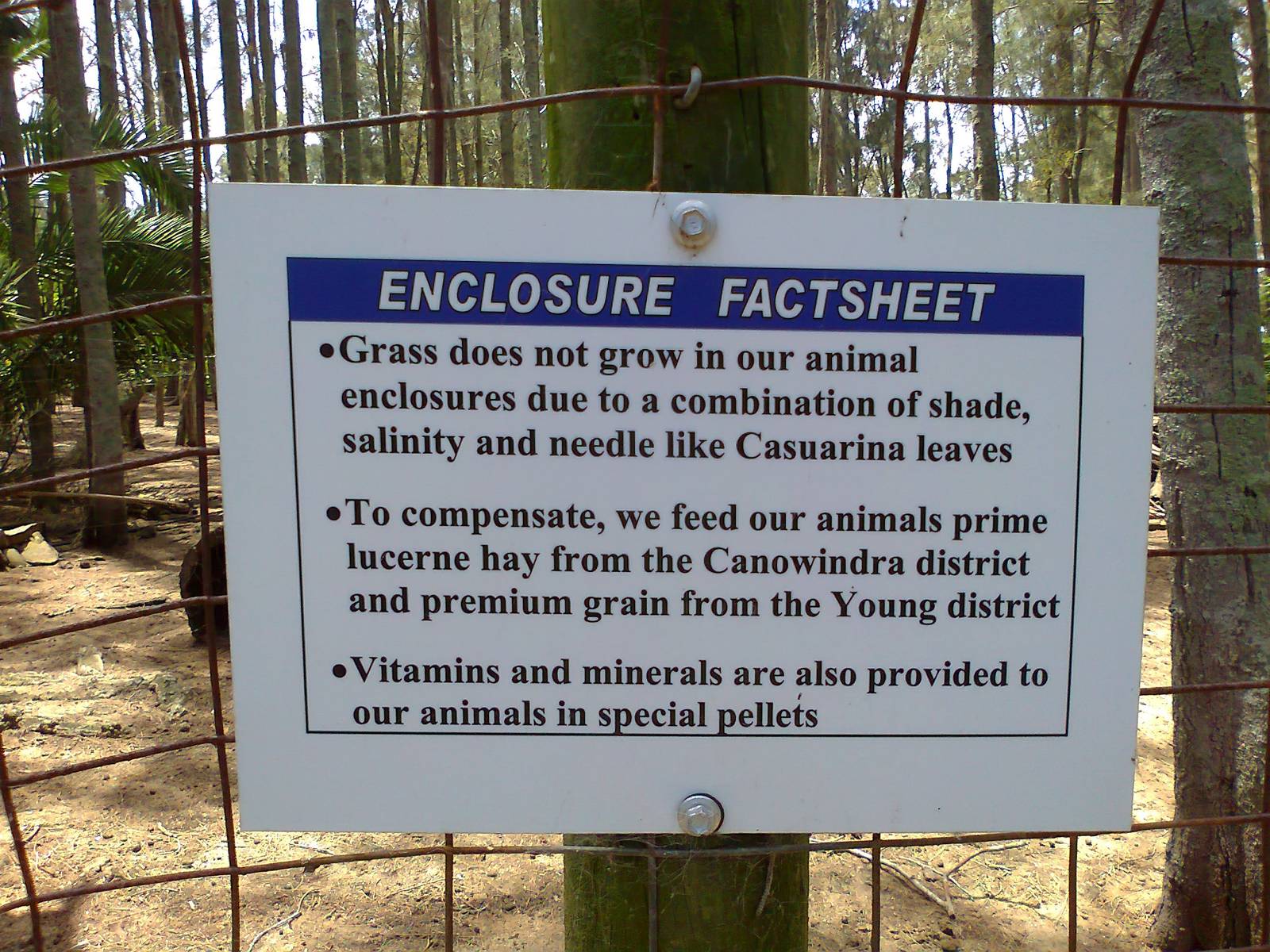 Sign - lack of grass