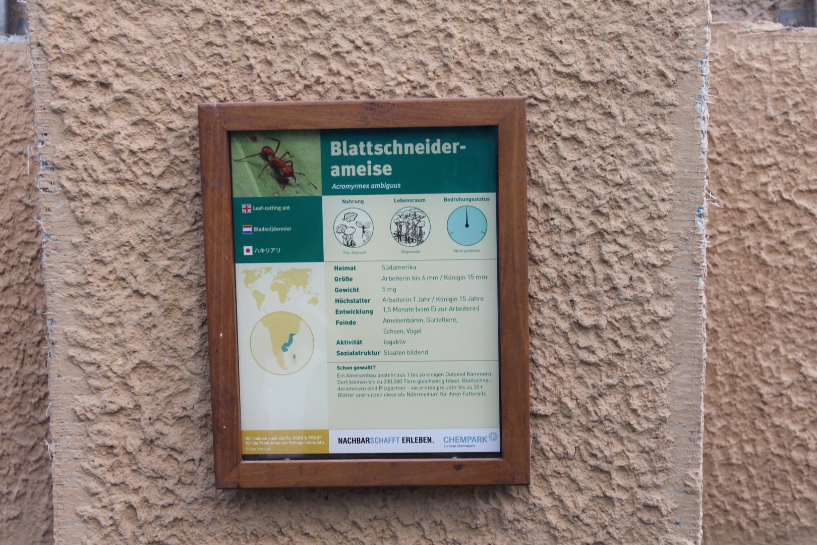 Sign Leaf-cutting ant