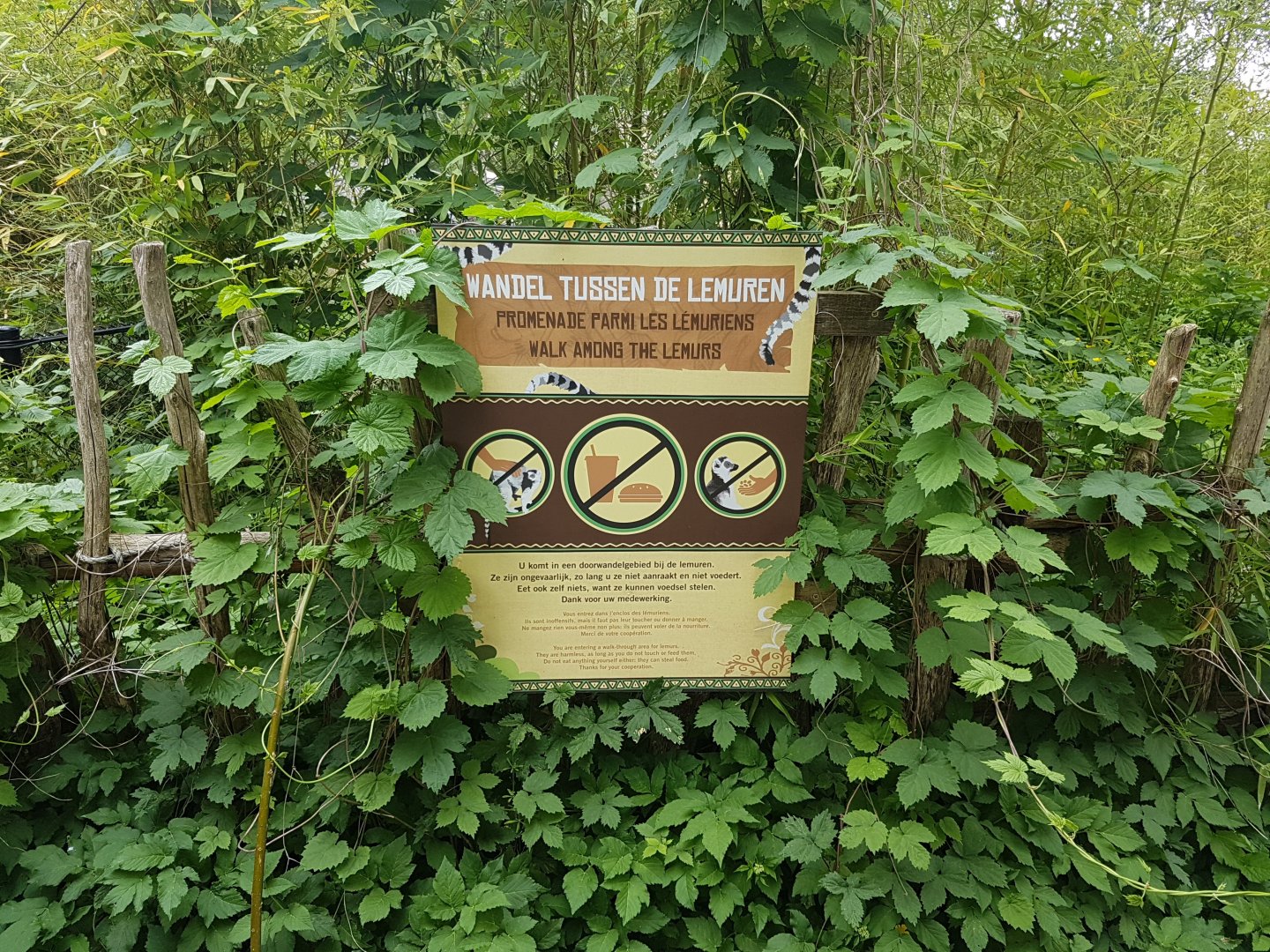 Sign Lemur Walk-through