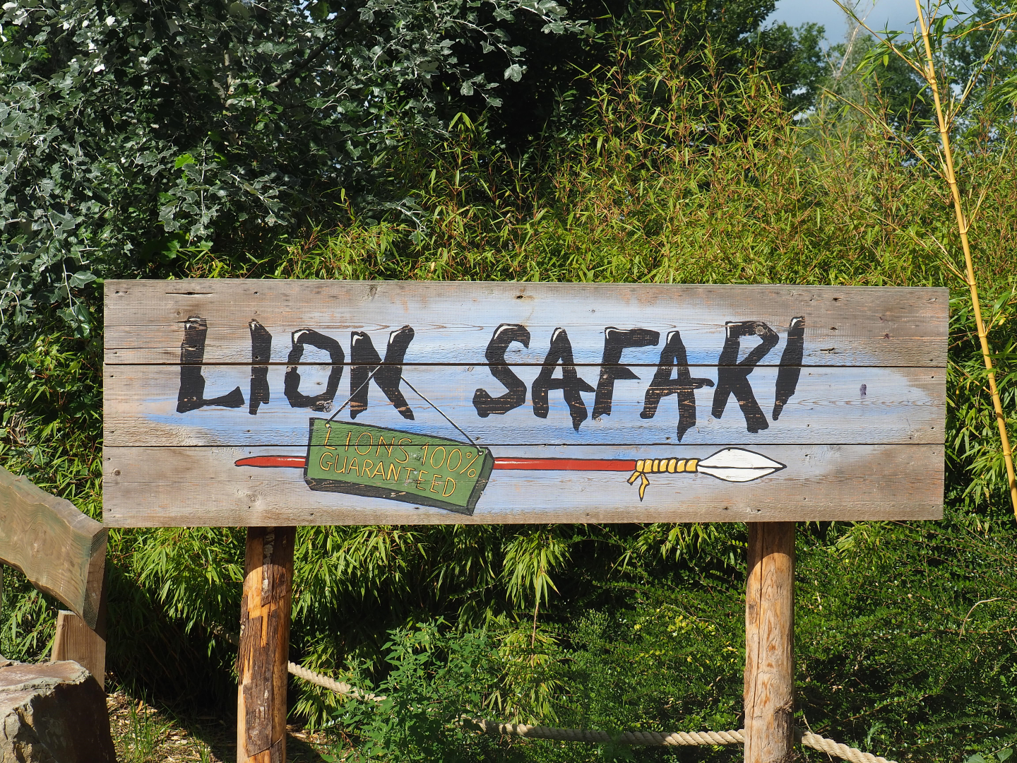 Sign Lion safari - Lions 100% guaranteed, 2019-08-11