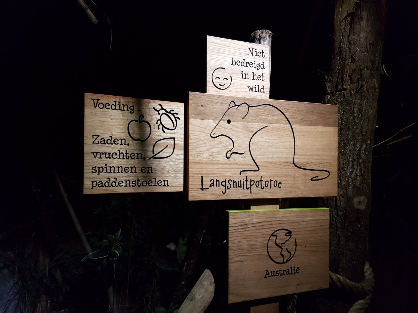 Sign Long-nosed potoroo
