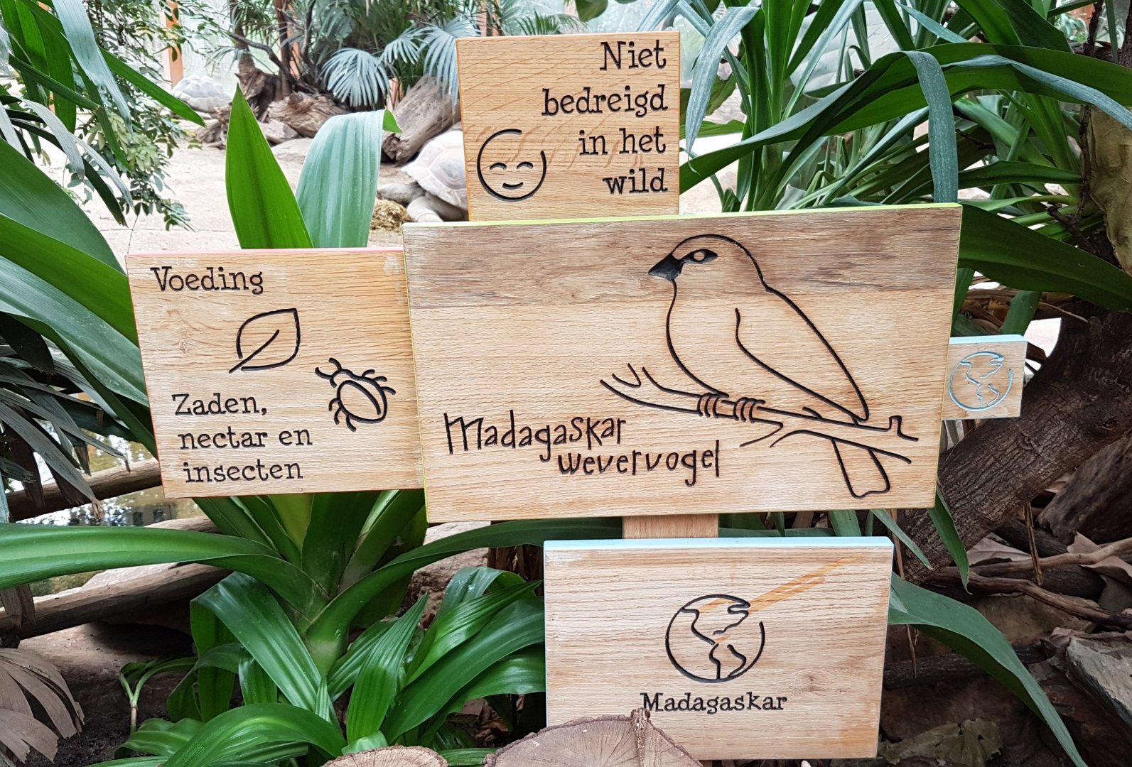 Sign Madagascar fody