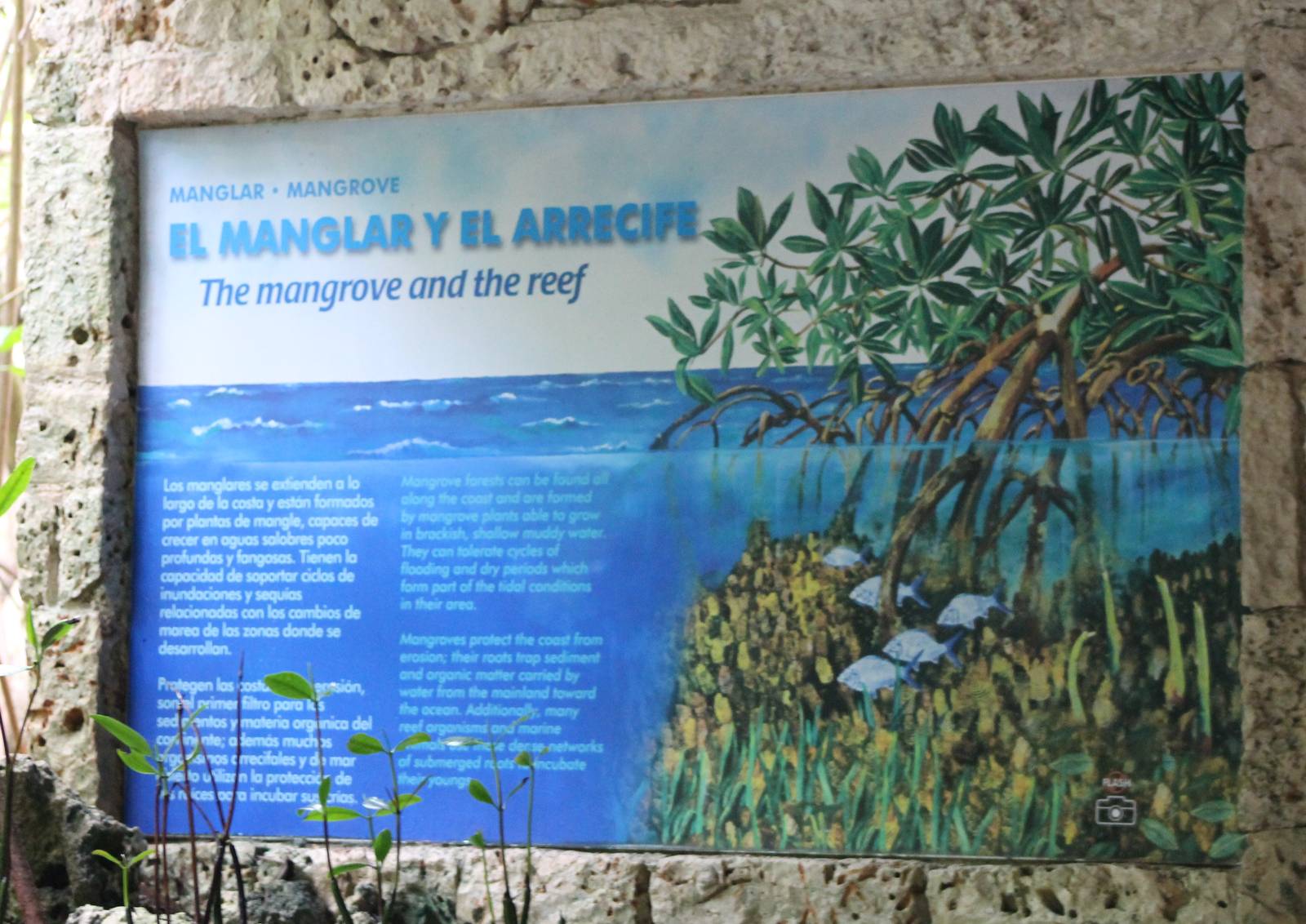 Sign Mangrove aquarium