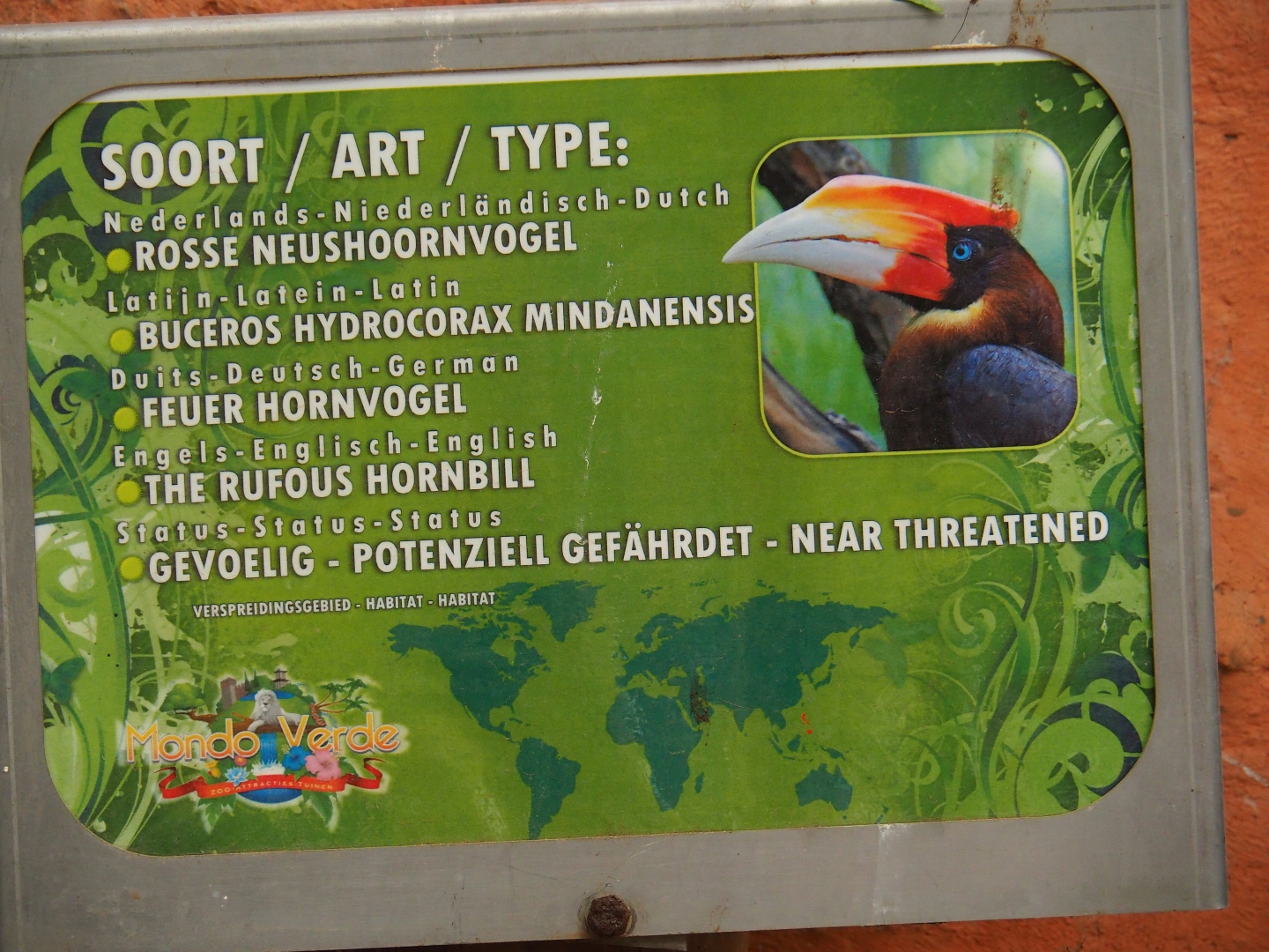 Sign Mindanao rufous hornbill (Aug 28th, 2018)